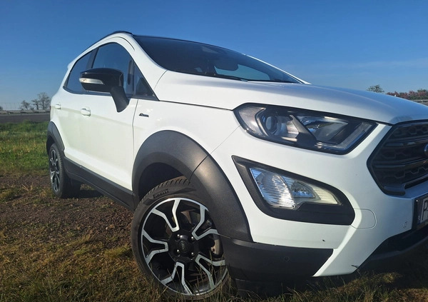 Ford EcoSport cena 72500 przebieg: 53150, rok produkcji 2020 z Września małe 631